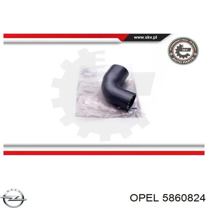 5860824 Opel 