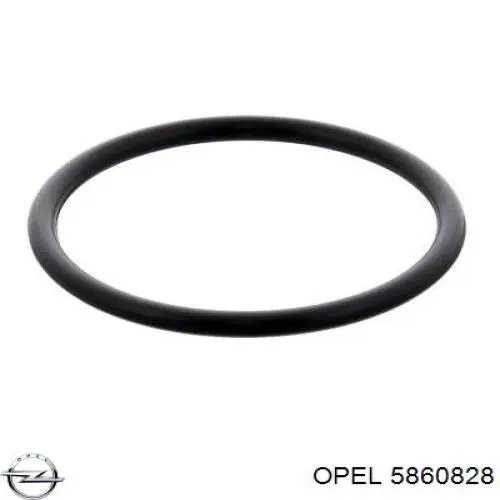 Купити 5860828 Opel 