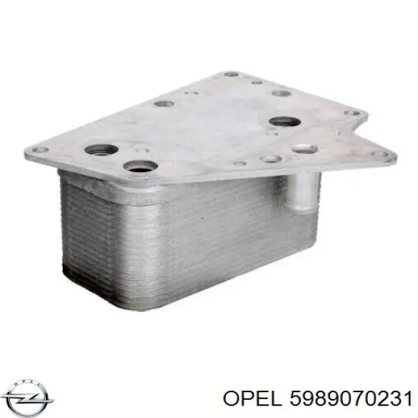 Купити 5989070231 Opel Радіатор масляний (холодильник), під фільтром