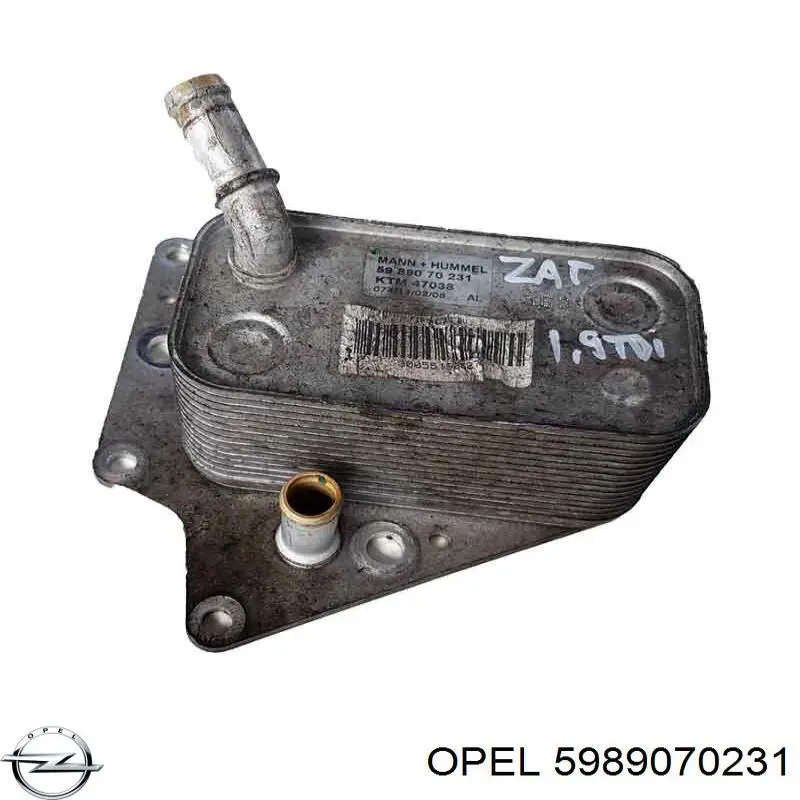 5989070231 Opel Радіатор масляний (холодильник), під фільтром