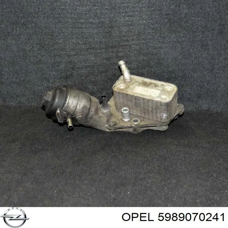 5989070241 Opel 