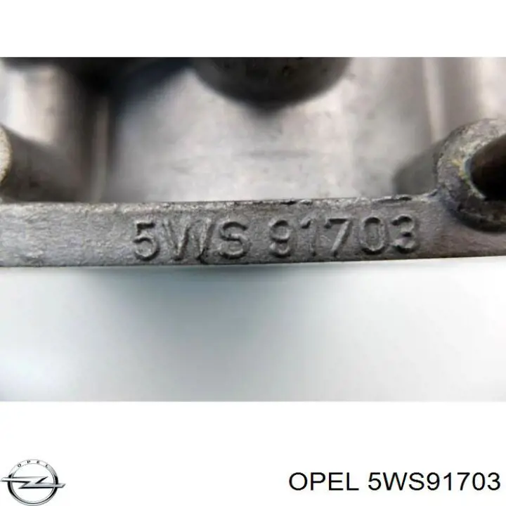 5WS91703 Opel Дросільна заслінка в зборі
