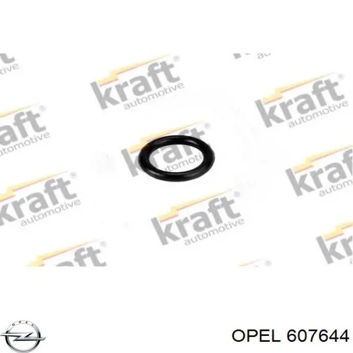 Прокладка клапанної кришки двигуна, кільце Opel 0607644