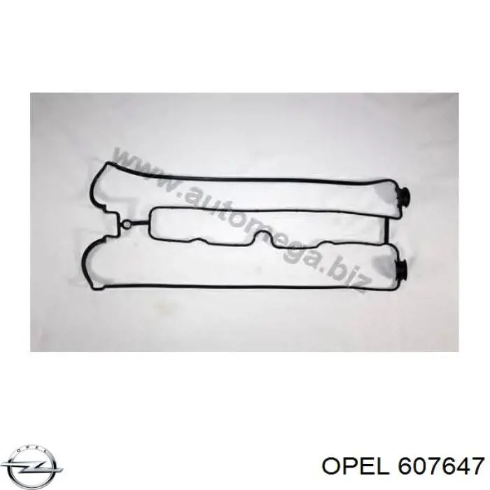 607647 Opel прокладка клапанної кришки двигуна