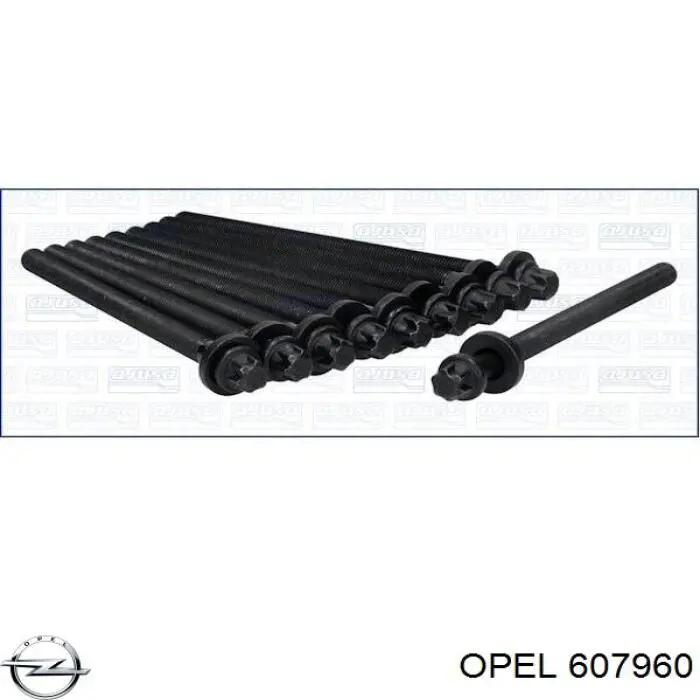 607960 Opel болт головки блока циліндрів, гбц