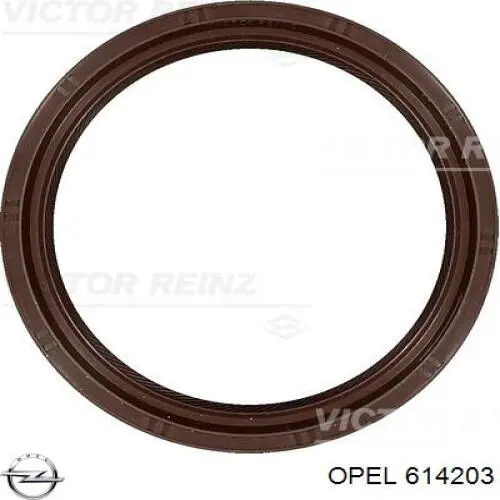 Купити 614203 Opel Сальник колінвала задній