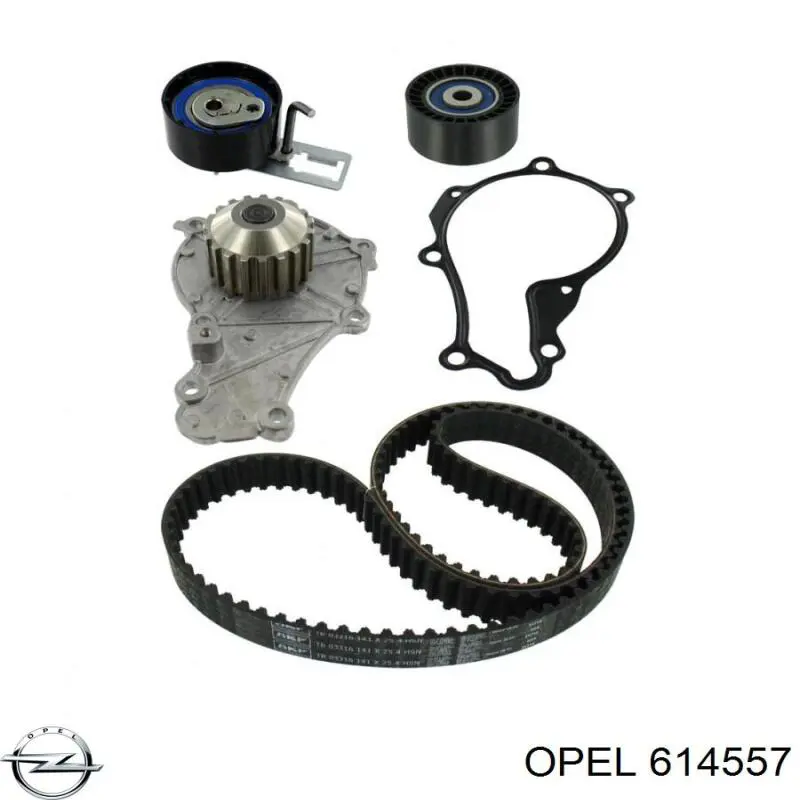 Купити 614557 Opel Зірка колінчастого вала