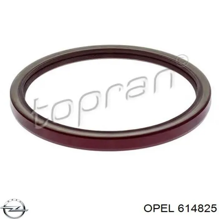Сальник колінвала двигуна, задній Opel 614825 ціна, від 6.39 USD