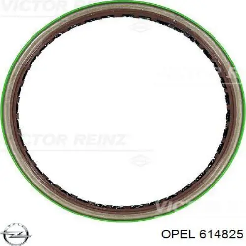 Купити 614825 Opel Сальник колінвала задній