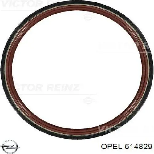 Сальник колінвала двигуна, задній Opel 614829 ціна, від 10.27 USD