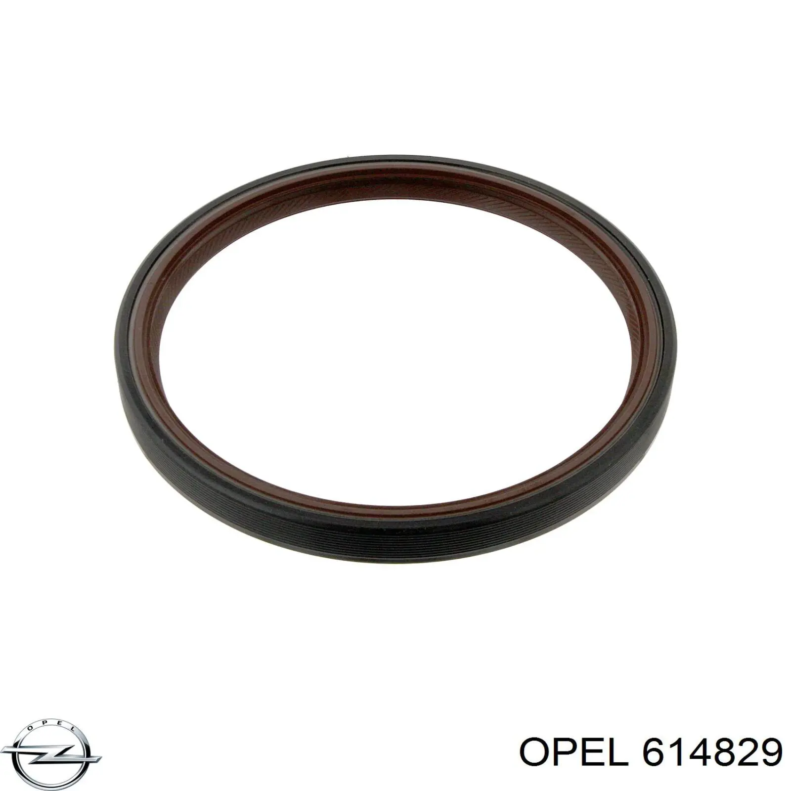 614829 Opel Сальник коленвала корінний