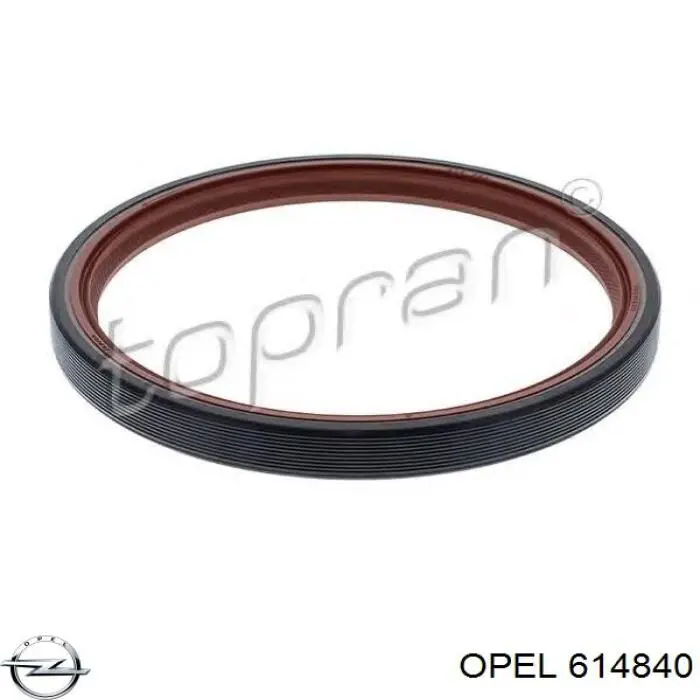 Купити 614840 Opel Сальник колінвала задній