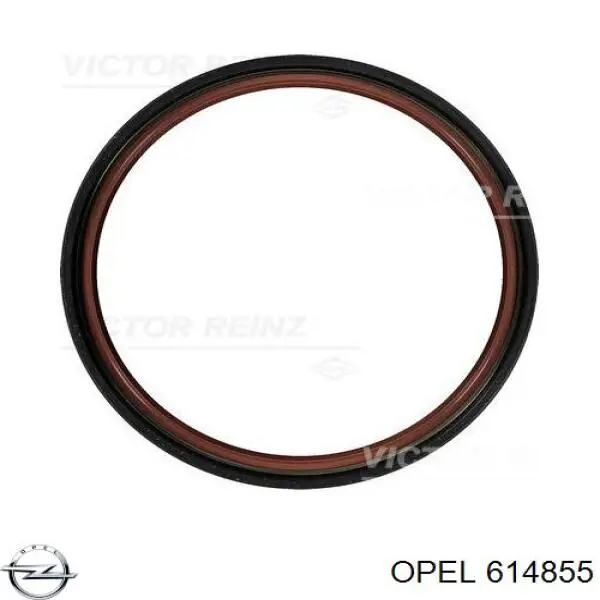 Купити 614855 Opel Сальник колінвала задній