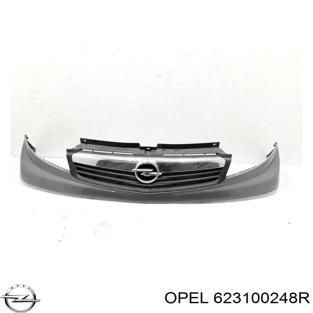 623100248R Opel 