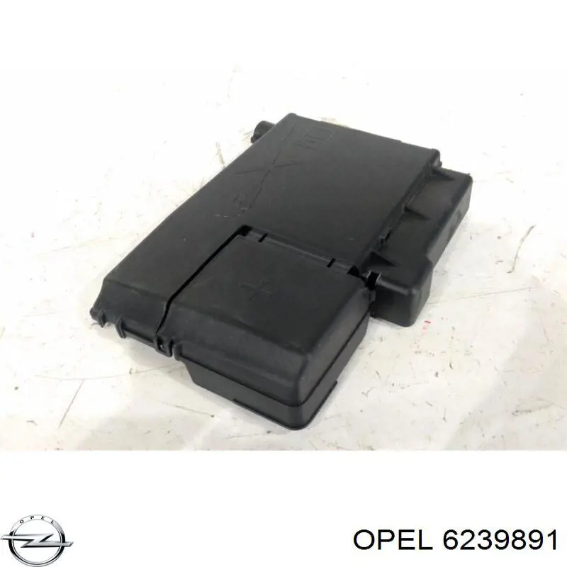 Купити 6239891 Opel 