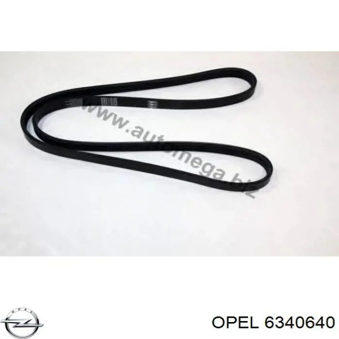 Купити 6340640 Opel Ремінь генератора