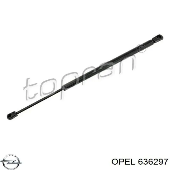 Купити 55569245 Opel Зірка колінчастого вала