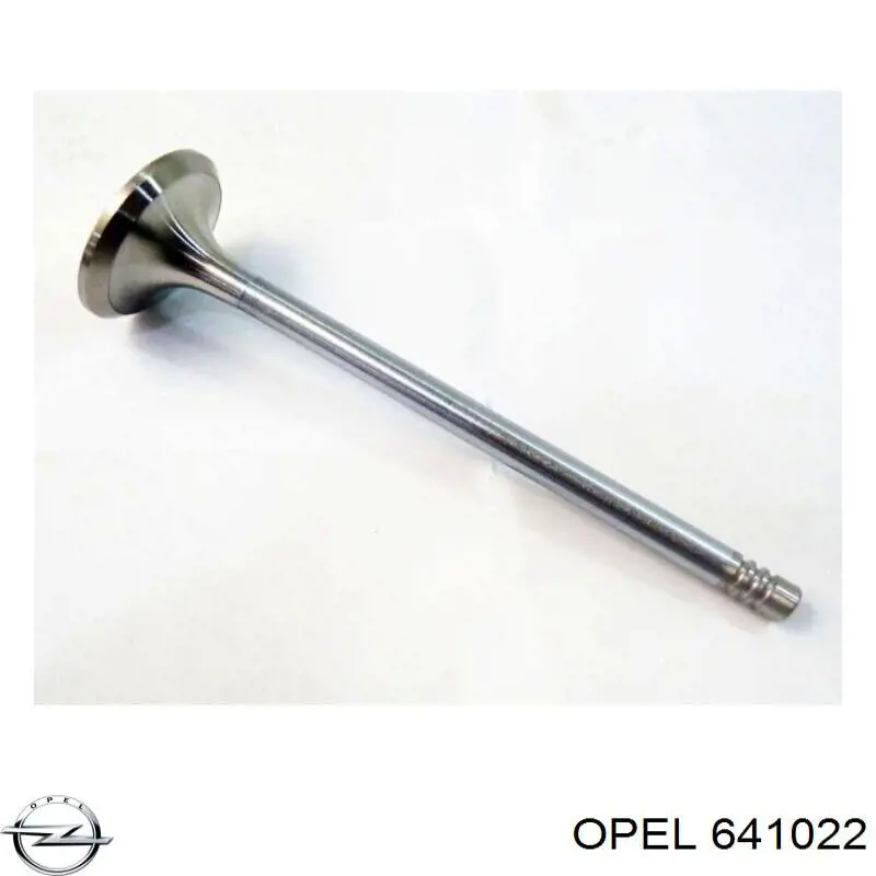 641022 Opel клапан впускний