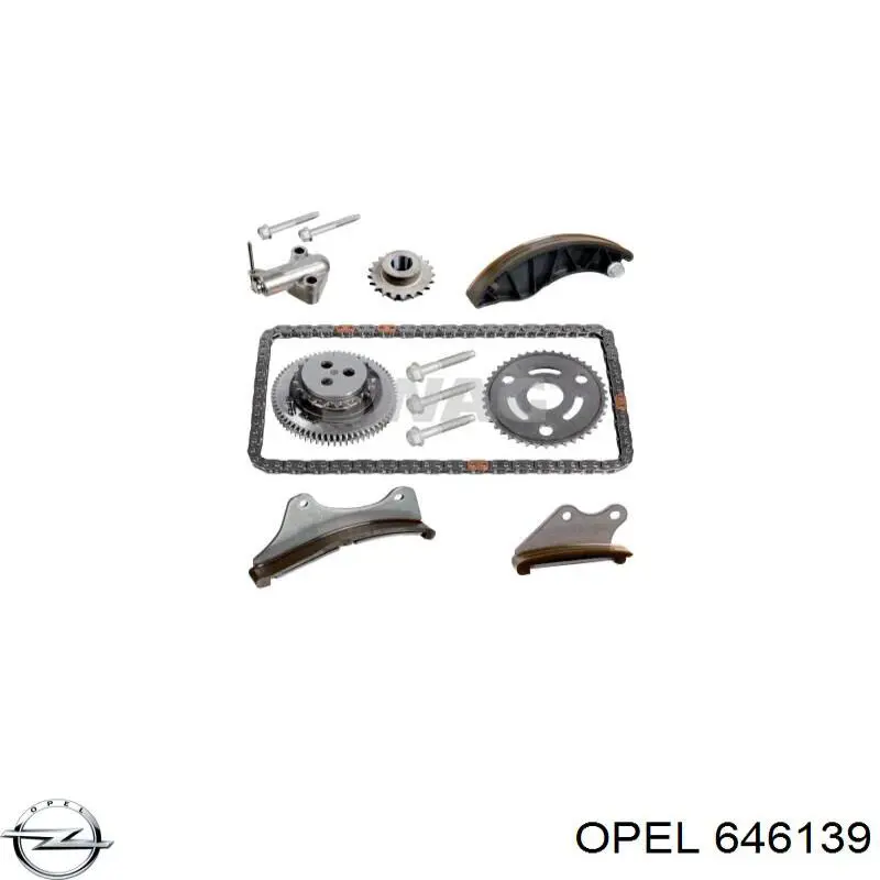 Ланцюг ГРМ, комплект Opel 646139 ціна, від 31.36 USD