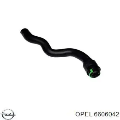 Комплект прокладок двигуна, нижній Peugeot/Citroen 55568529