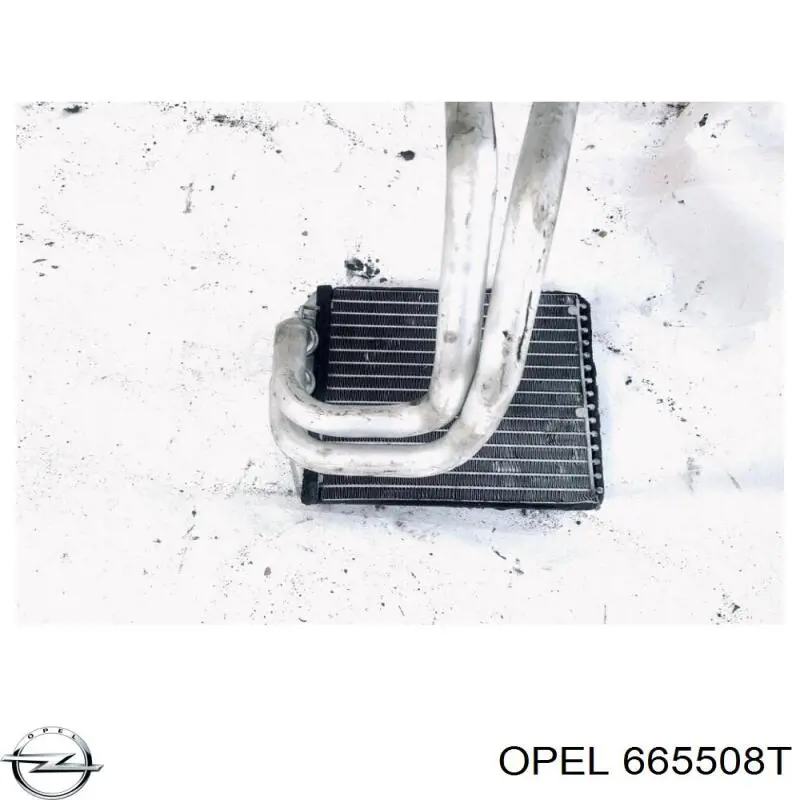  Opel 665508T ціна, від 14.09 USD