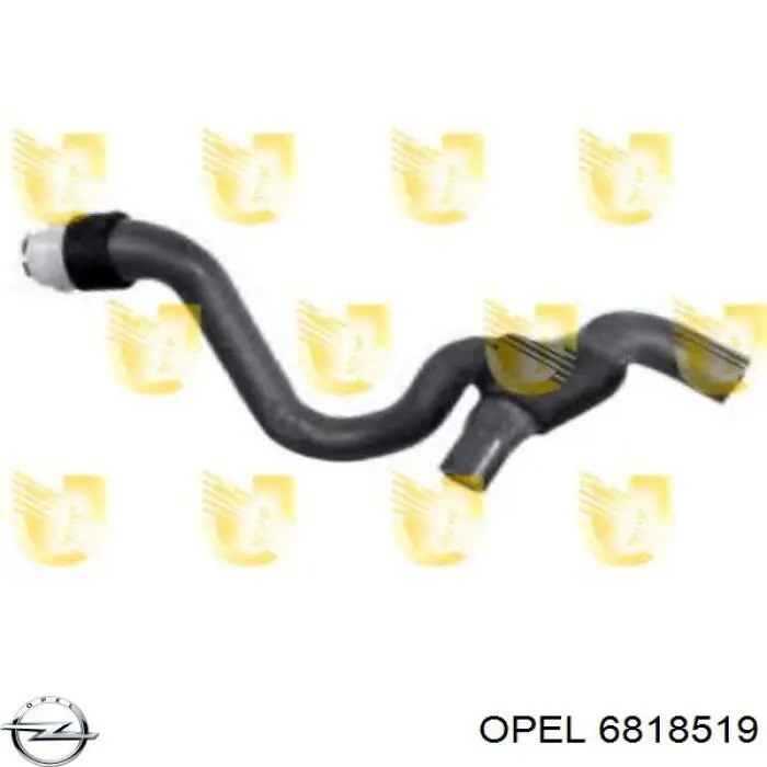 Купити 6818519 Opel Шланг радіатора опалювача/пічки, обратка