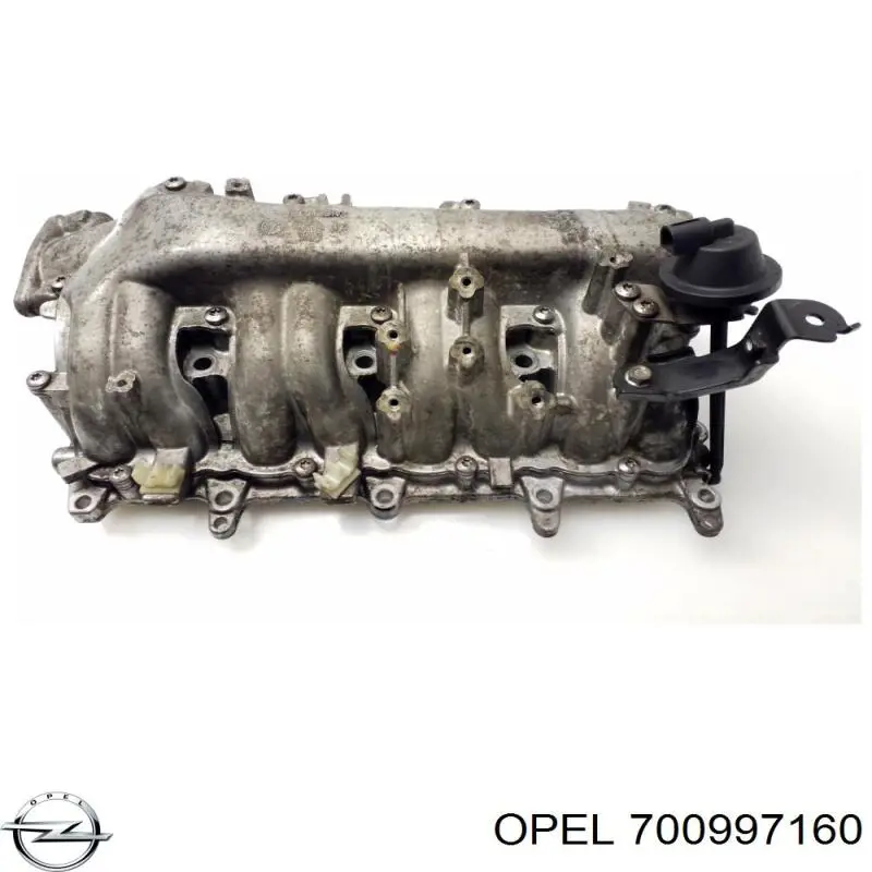 700997160 Opel 