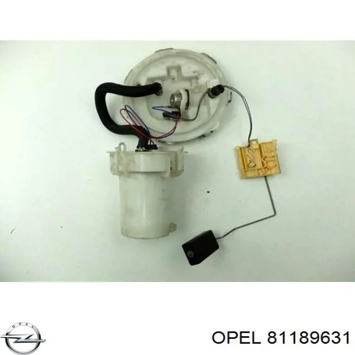 81189631 Opel 