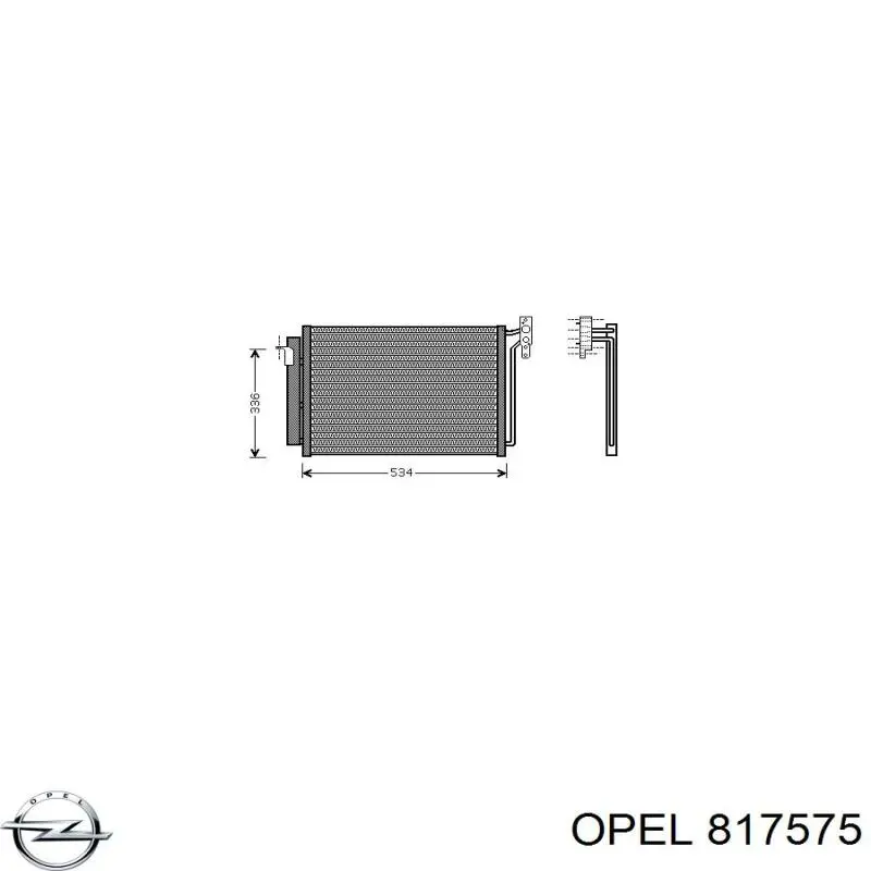 817575 Opel прокладка головки інжектора