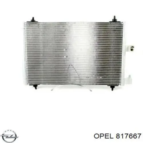  817667 Opel