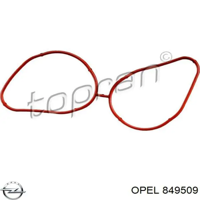 849509 Opel прокладка впускного колектора, нижня