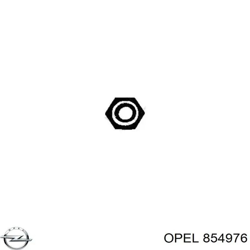 Гайка кріплення приймальної труби глушника (штанів) Opel 854976 ціна, від 0.93 USD