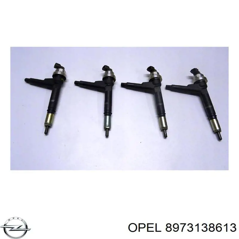  8973138613 Opel