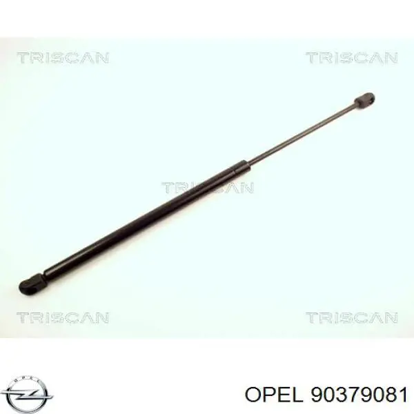 Купити 90379081 Opel Амортизатор двері багажника
