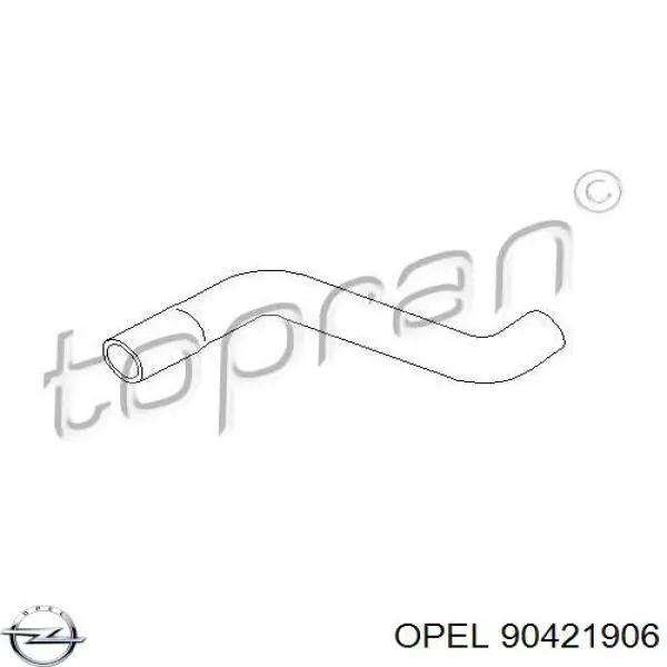 Купити 90421906 Opel Шланг/патрубок радіатора охолодження, нижній