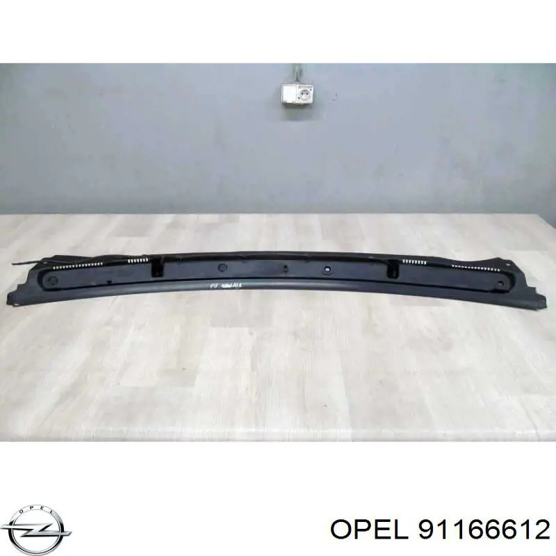 Купити 91166612 Renault (RVI) Водостік лобового скла, жабо