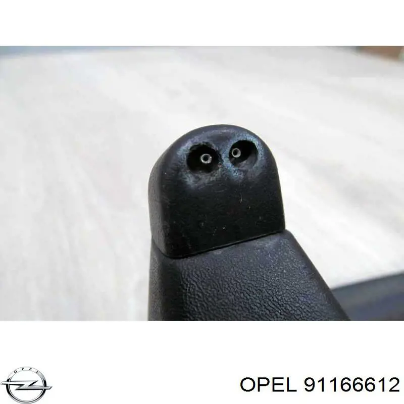 91166612 Renault (RVI) Водостік лобового скла, жабо