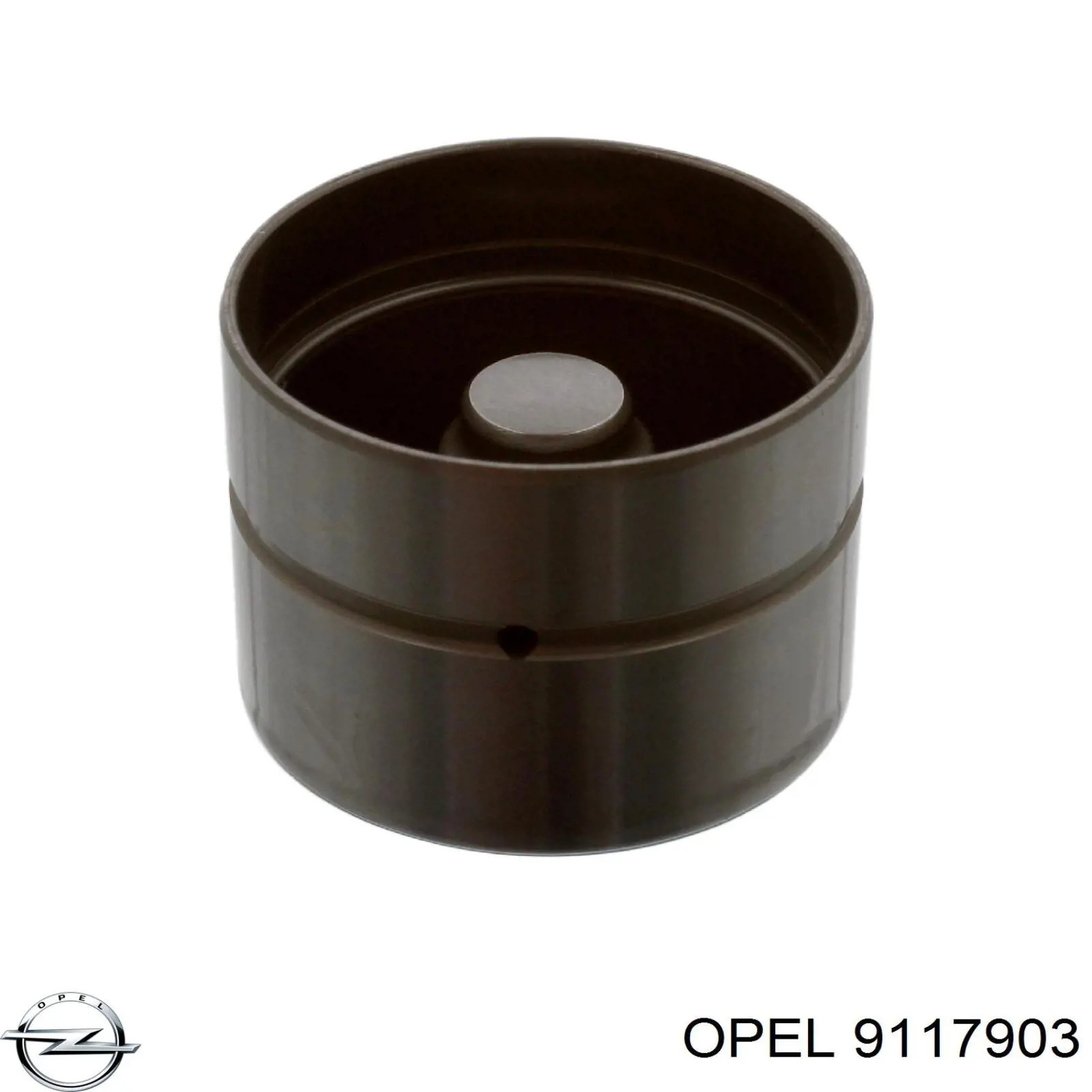 Штовхач клапана гідравлічний Opel 9117903 ціна, від 6.29 USD