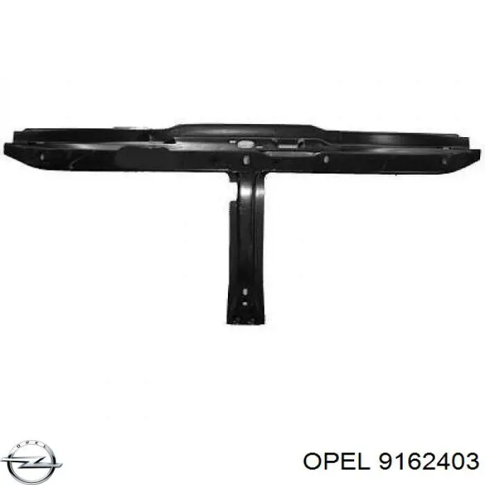Супорт радіатора в зборі/монтажна панель кріплення фар Opel Movano (H9) (Опель Мовано)