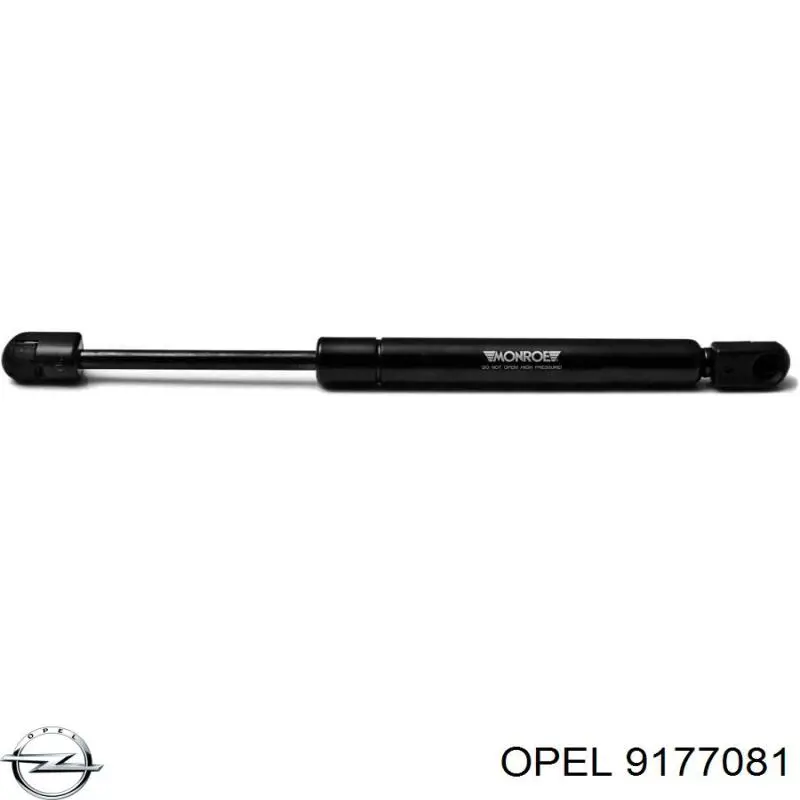9177081 Opel Амортизатор кришки багажника / двері 3/5-ї задньої