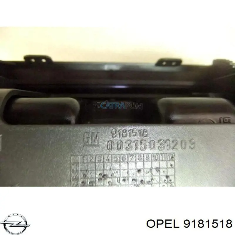  9181518 Opel