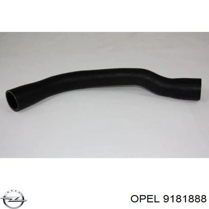 Патрубок бака, до заливної горловини Opel 806092 ціна, від 18.06 USD