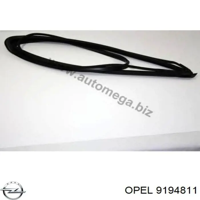 Автоскло Opel 162011 ціна, від 1077.07 USD