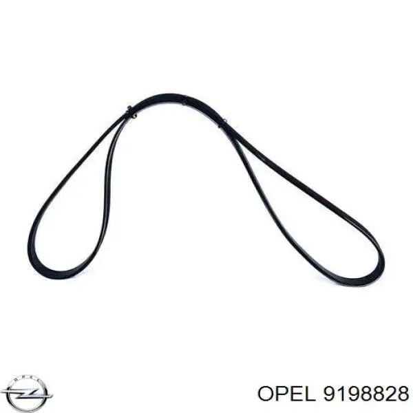 Клиновий ремінь Opel 9198828 ціна, від 9.96 USD