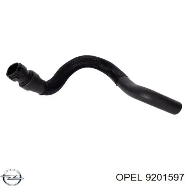 Купити 4506116 Opel 