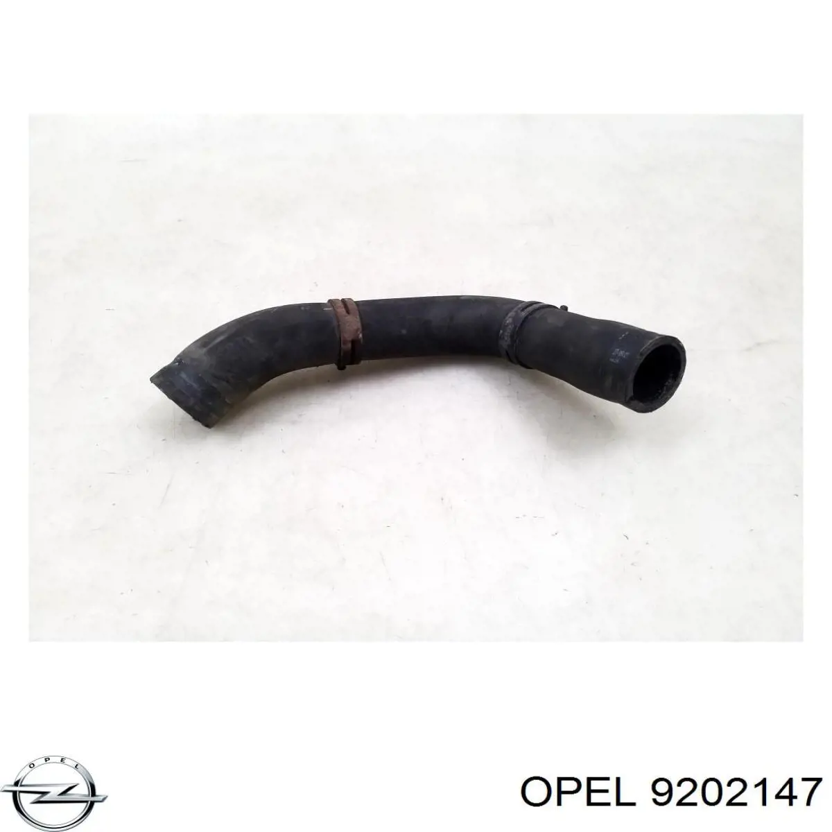 Шланг/патрубок радіатора охолодження, нижній 9202147 General Motors