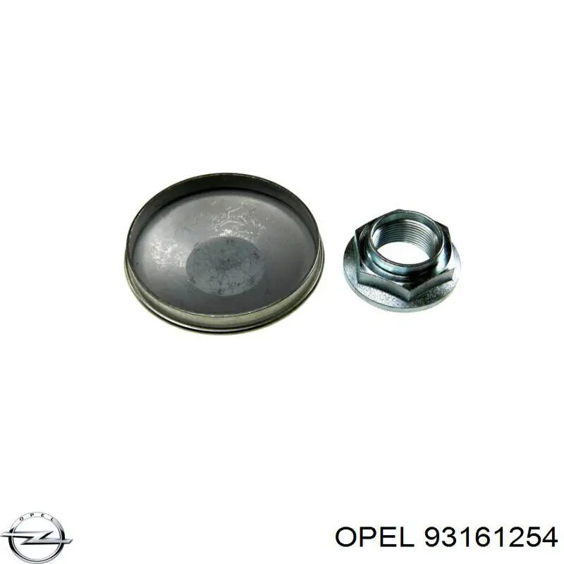 Купити 93161254 Opel Диск заднього гальма