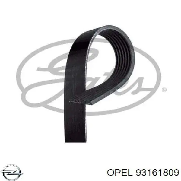 Ремінь генератора 93161809 Opel