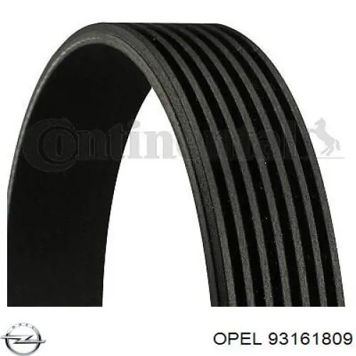 Клиновий ремінь Opel 93161809 ціна, від 19.19 USD