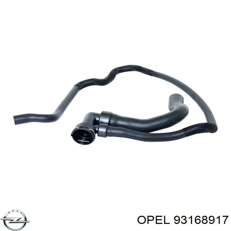 215031595R Renault (RVI) Шланг/патрубок радіатора охолодження, нижній